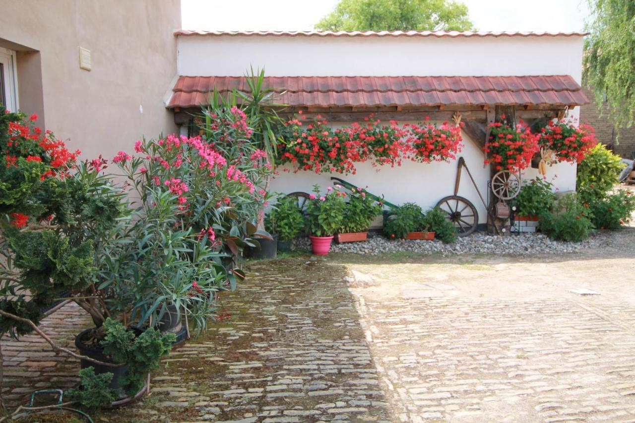 La Chambre Aux Hirondelles Ittenheim 외부 사진